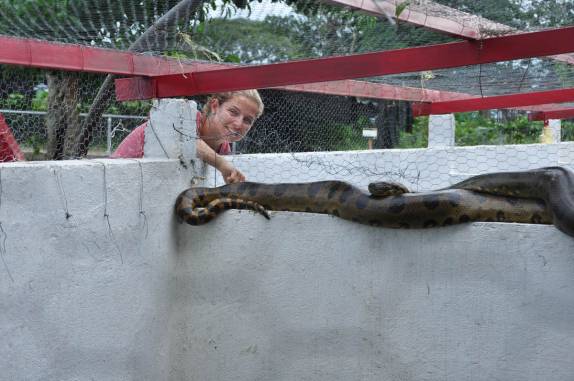A Ana tenta socializar com uma sucuri no Hato El Cedral, na região dos llanos, na Venezuela